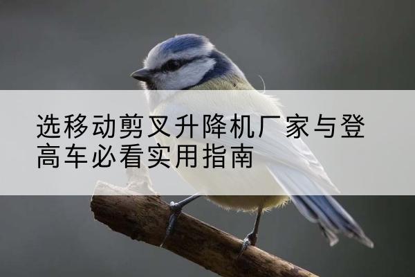 单县电动升降机厂家-选移动剪叉升降机厂家与登高车必看实用指南