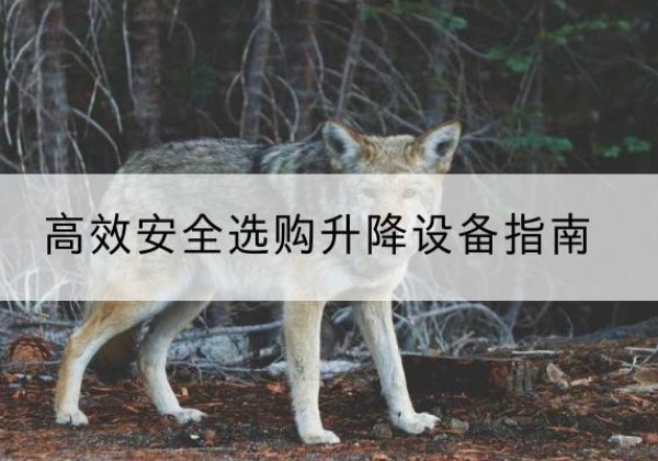 单县升降货梯厂家推荐-*安全选购升降设备指南