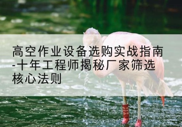 单县剪叉式升降机厂家-高空作业设备选购实战指南-十年工程师揭秘厂家筛选核心法则